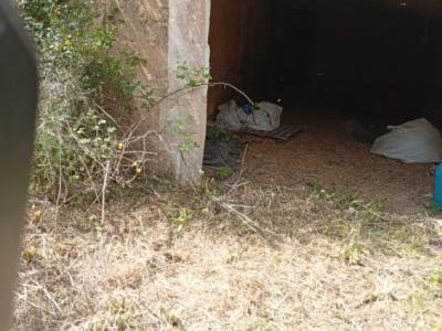 Top Gelegenheit Sant Lorenzo Grosse Finca zu Verkaufen 394.700m2 Grundstück