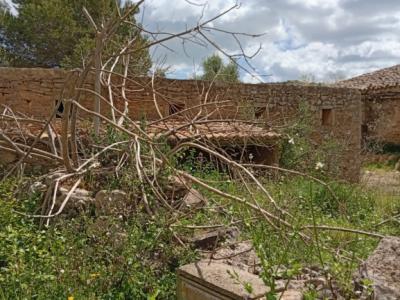 Top Gelegenheit Sant Lorenzo Grosse Finca zu Verkaufen 394.700m2 Grundstück