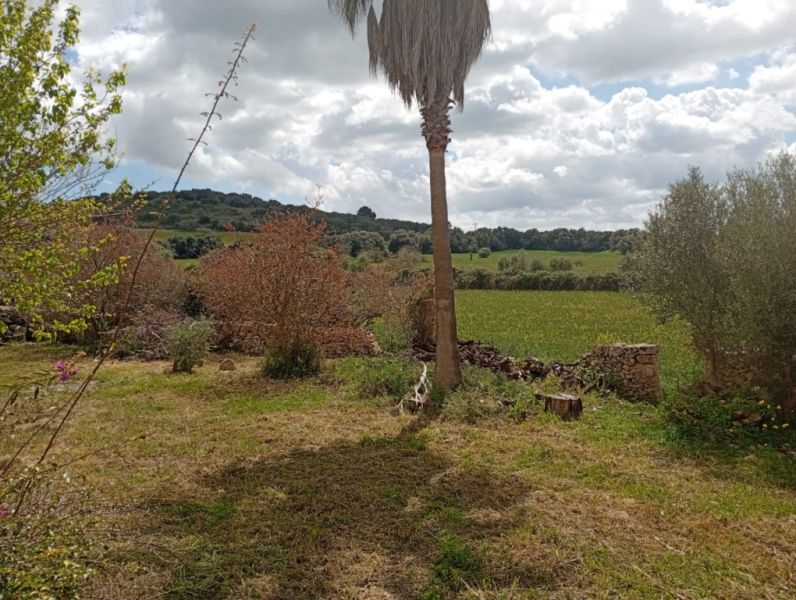 Top Gelegenheit Sant Lorenzo Grosse Finca zu Verkaufen 394.700m2 Grundstück