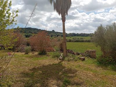 Top Gelegenheit Sant Lorenzo Grosse Finca zu Verkaufen 394.700m2 Grundstück