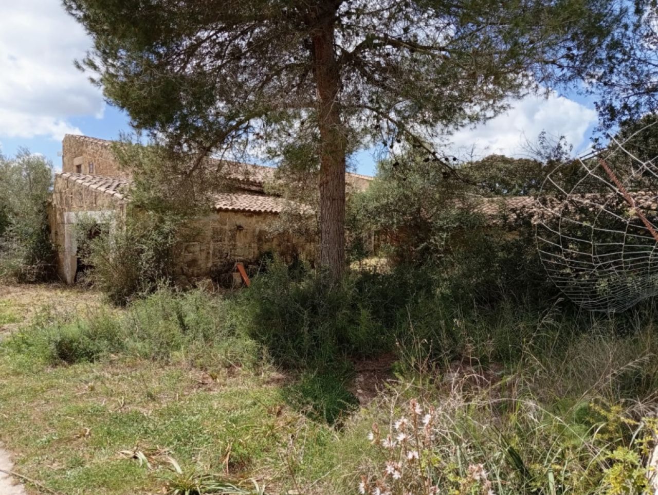 Top Gelegenheit Sant Lorenzo Grosse Finca zu Verkaufen 394.700m2 Grundstück