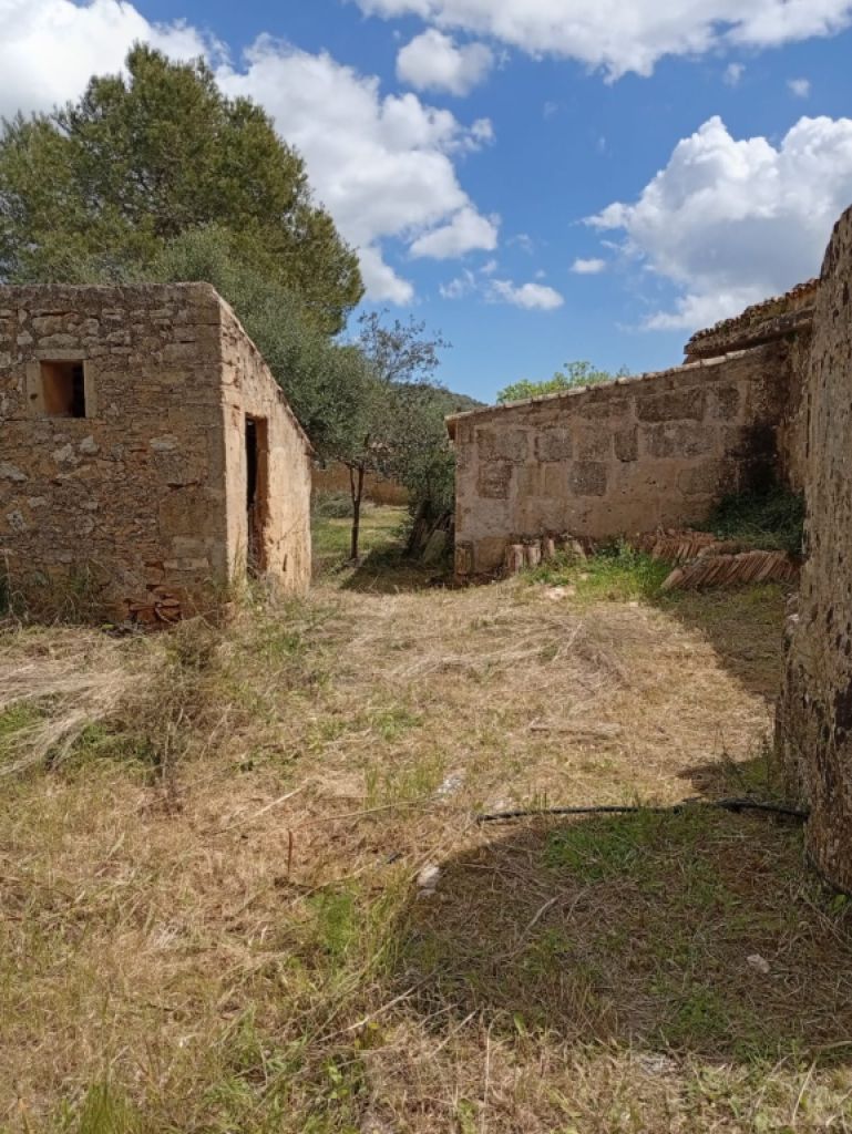 Top Gelegenheit Sant Lorenzo Grosse Finca zu Verkaufen 394.700m2 Grundstück