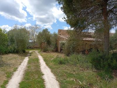 Top Gelegenheit Sant Lorenzo Grosse Finca zu Verkaufen 394.700m2 Grundstück