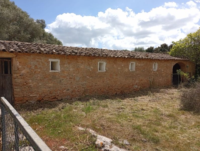 Top Gelegenheit Sant Lorenzo Grosse Finca zu Verkaufen 394.700m2 Grundstück