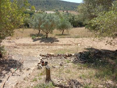 Top Kleine Finca mit traumhafter Aussicht und Ruhe