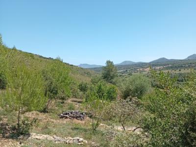 Top Kleine Finca mit traumhafter Aussicht und Ruhe