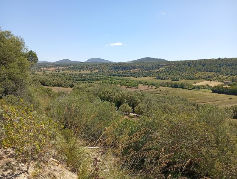 Top Kleine Finca mit traumhafter Aussicht und Ruhe