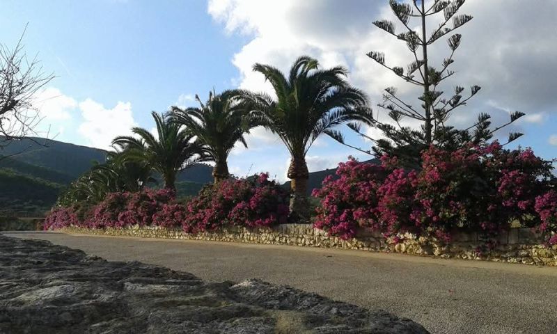 Prime location near Porto Cristo — beautiful finca for sale