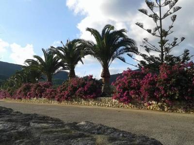 Prime location near Porto Cristo — beautiful finca for sale