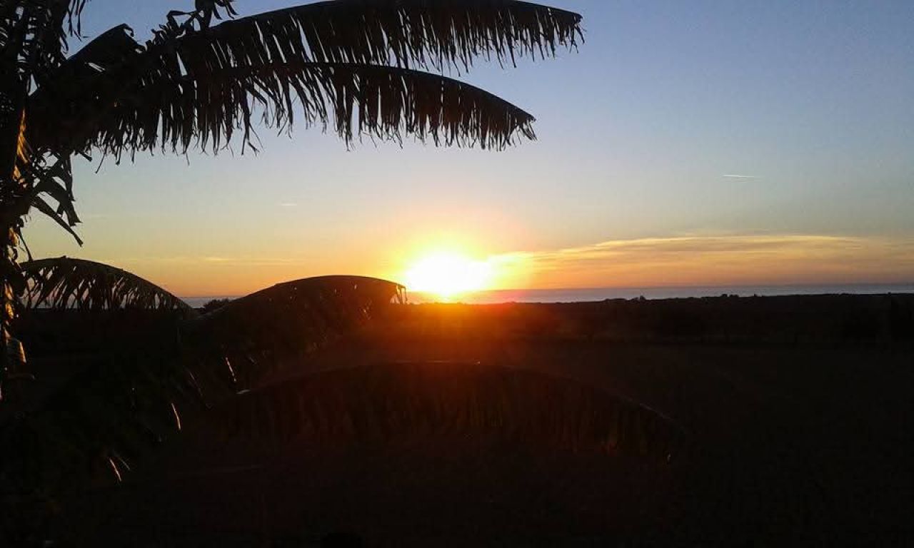 Prime location near Porto Cristo — beautiful finca for sale