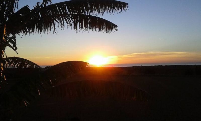 Prime location near Porto Cristo — beautiful finca for sale