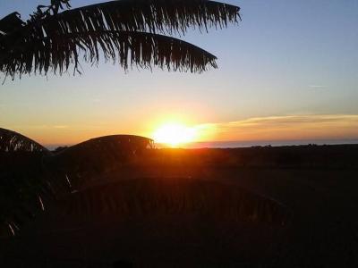 Prime location near Porto Cristo — beautiful finca for sale