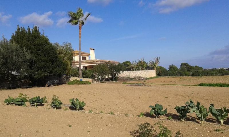 Prime location near Porto Cristo — beautiful finca for sale