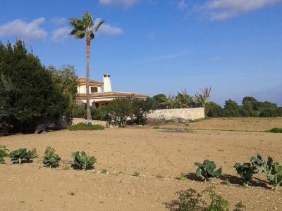 Prime location near Porto Cristo — beautiful finca for sale