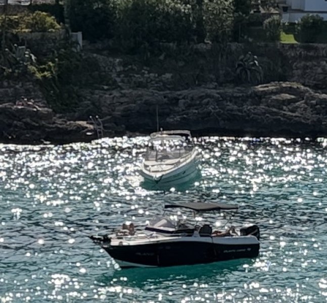 Top Motorboot Atlantic Marine 730, Service neu, 350PS, WC, Kajüte - opt. Liegeplatz in Cala Dor
