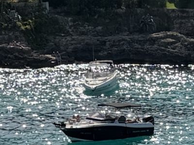 Top Motorboot Atlantic Marine 730, Service neu, 350PS, WC, Kajüte - opt. Liegeplatz in Cala Dor