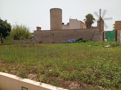Top Hermoso Molino Antiguo Renovado En Venta Manacor