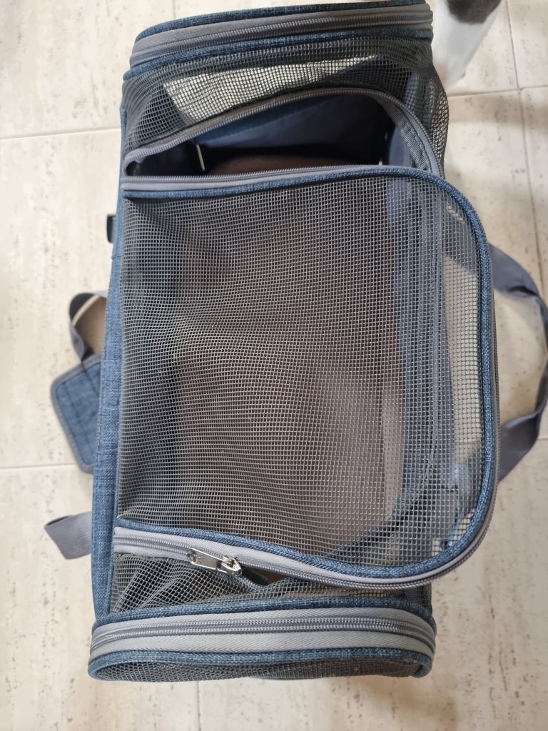 Transporttasche Flugzeug Kabine