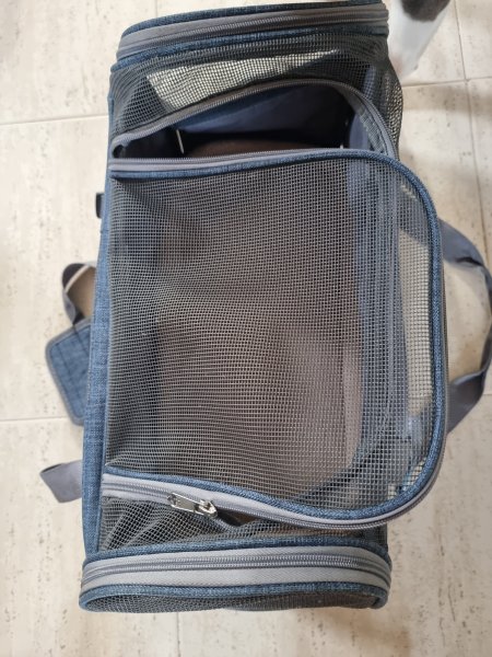 Transporttasche Flugzeug Kabine