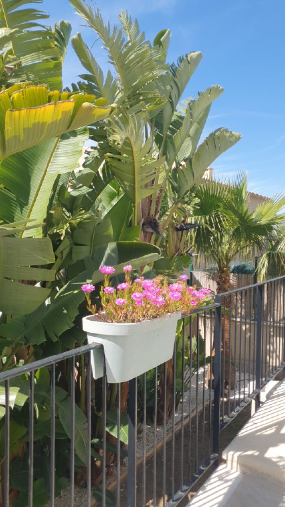 Traum Neubau Doppelhaus Hälfte mit Blick auf die Bucht von Palma in Sa Cabaneta unweit des Golfplatz