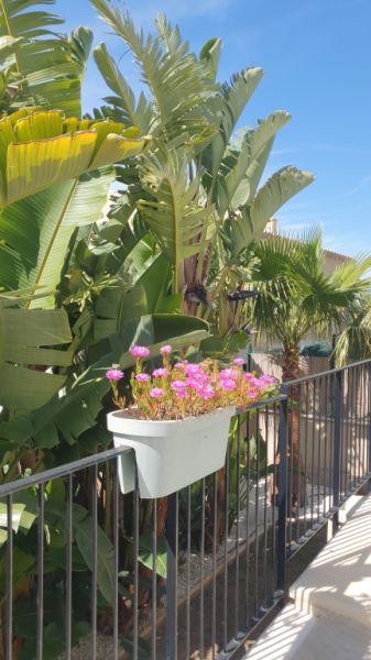 Traum Neubau Doppelhaus Hälfte mit Blick auf die Bucht von Palma in Sa Cabaneta unweit des Golfplatz