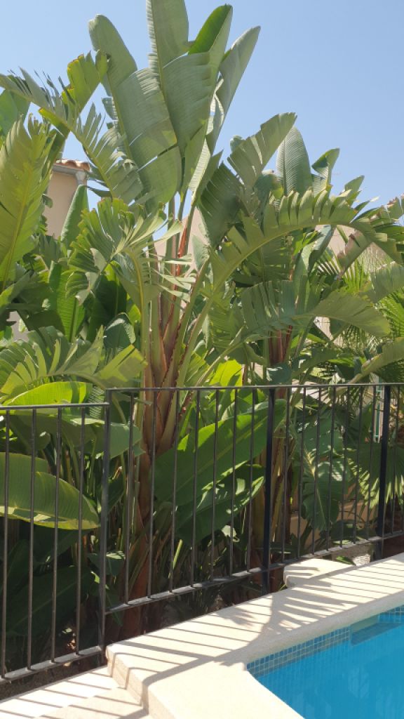 Traum Neubau Doppelhaus Hälfte mit Blick auf die Bucht von Palma in Sa Cabaneta unweit des Golfplatz