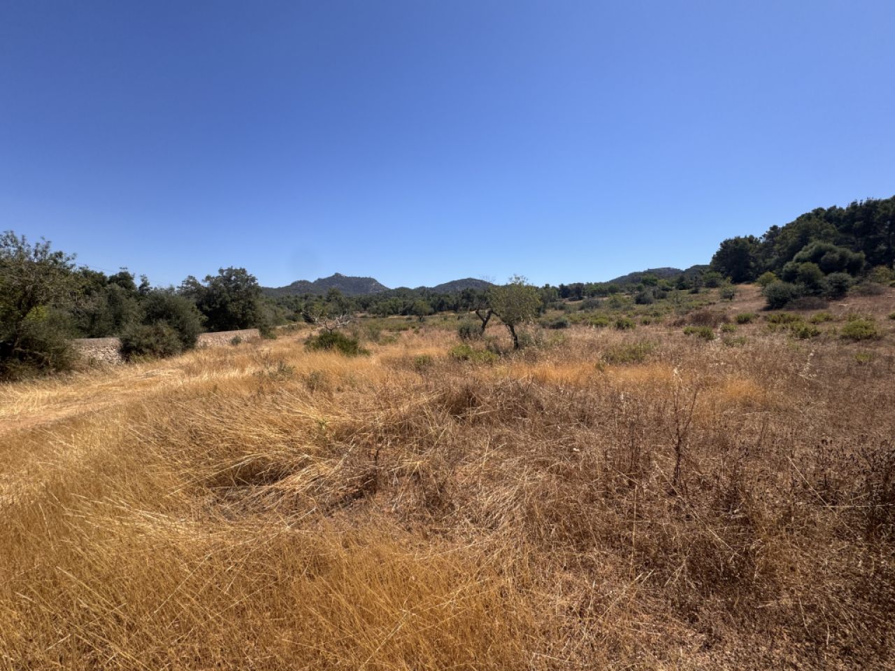 Traumgrundstück mit Basisprojekt inmitten der Natur bei Es Carrixto- Felanitx