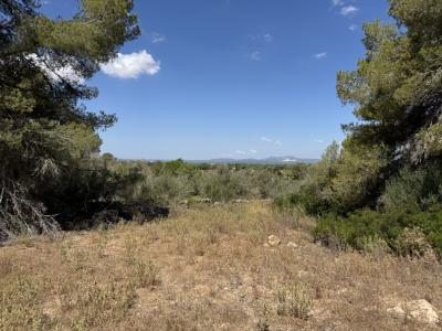 Traumgrundstück mit Basisprojekt inmitten der Natur bei Es Carrixto- Felanitx