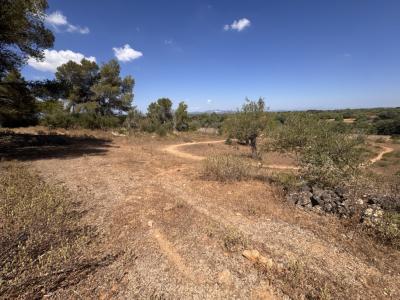 Traumgrundstück mit Basisprojekt inmitten der Natur bei Es Carrixto- Felanitx T 20