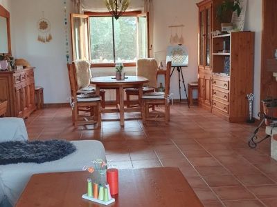 Finca de ensueño busca compañero de piso