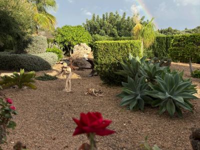 Finca de ensueño busca compañero de piso
