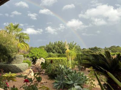 Finca de ensueño busca compañero de piso