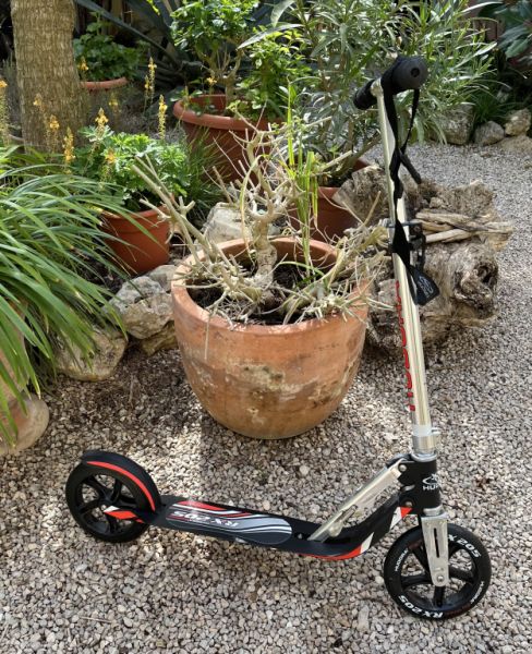 Kick Scooter plegable con ruedas grandes