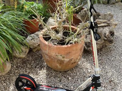 Kick Scooter plegable con ruedas grandes