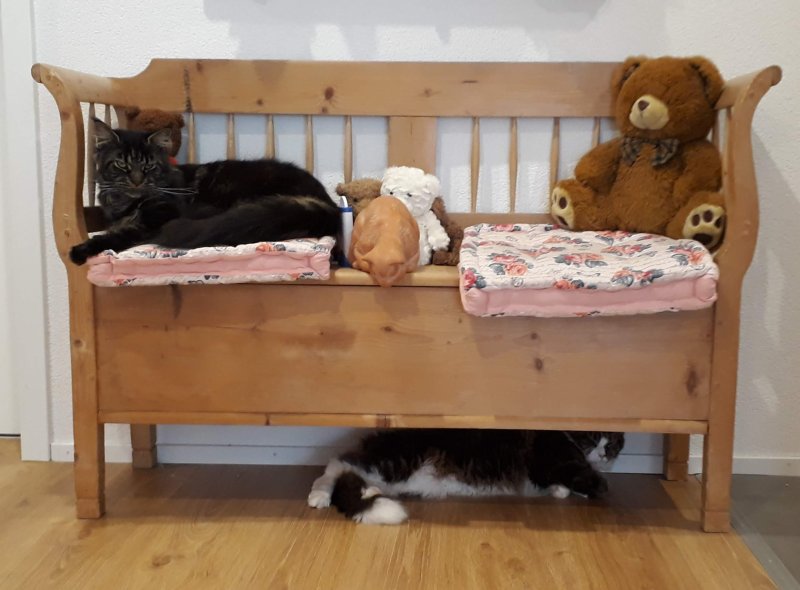 Truhenbank