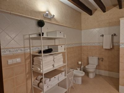 Typisch mallorquinisches Dorfhaus auf 2 Etagen in Ariany -- DH 20