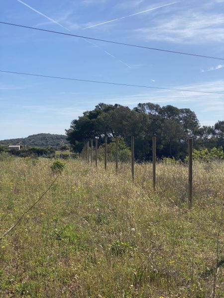 Umzäunung von landwirtschaftlichen Betrieben