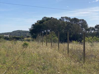 Umzäunung von landwirtschaftlichen Betrieben