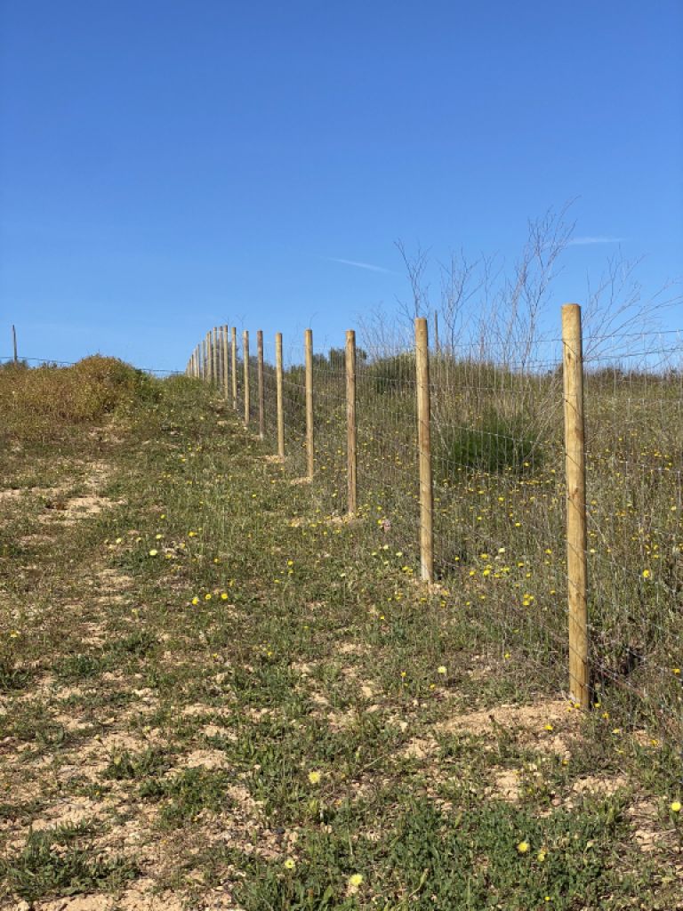 Umzäunung von landwirtschaftlichen Betrieben