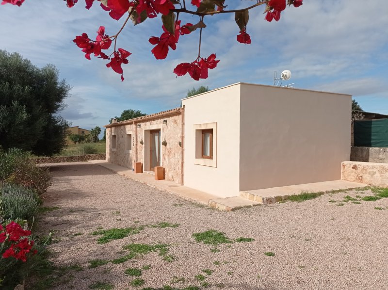 Casita sin amueblar a nivel de suelo con terreno cerca de Cas Concos --- C 254