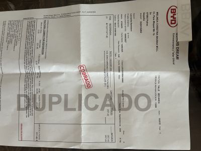 V2L Adapter for Electric Car BYD ATTO2 220 Volt New Unused for 260eu. New Price 311eu
