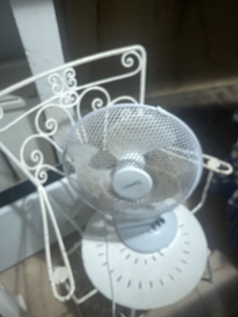 Fans of various types, €5 each
