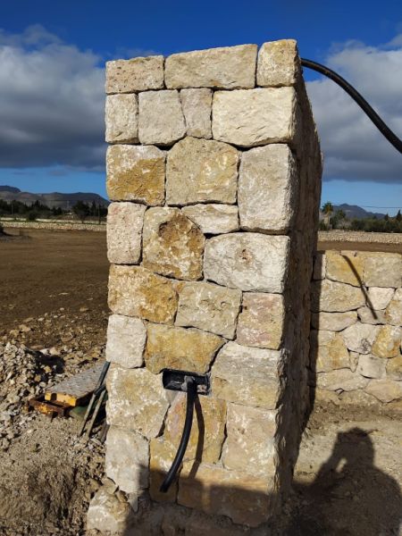 constitutional reforms stone