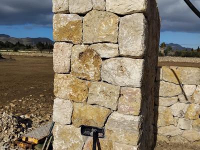 constitutional reforms stone