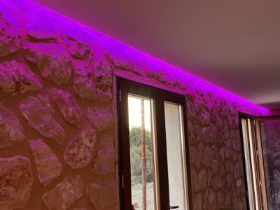 constitutional reforms stone