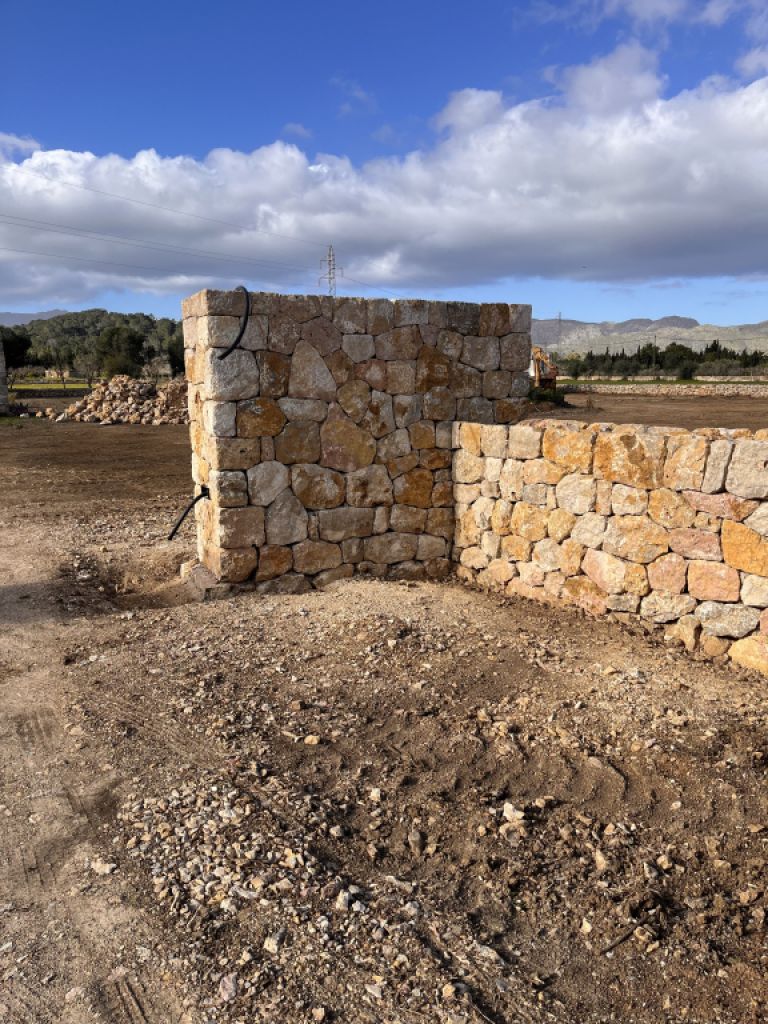 constitutional reforms stone