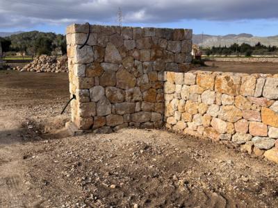 constitutional reforms stone