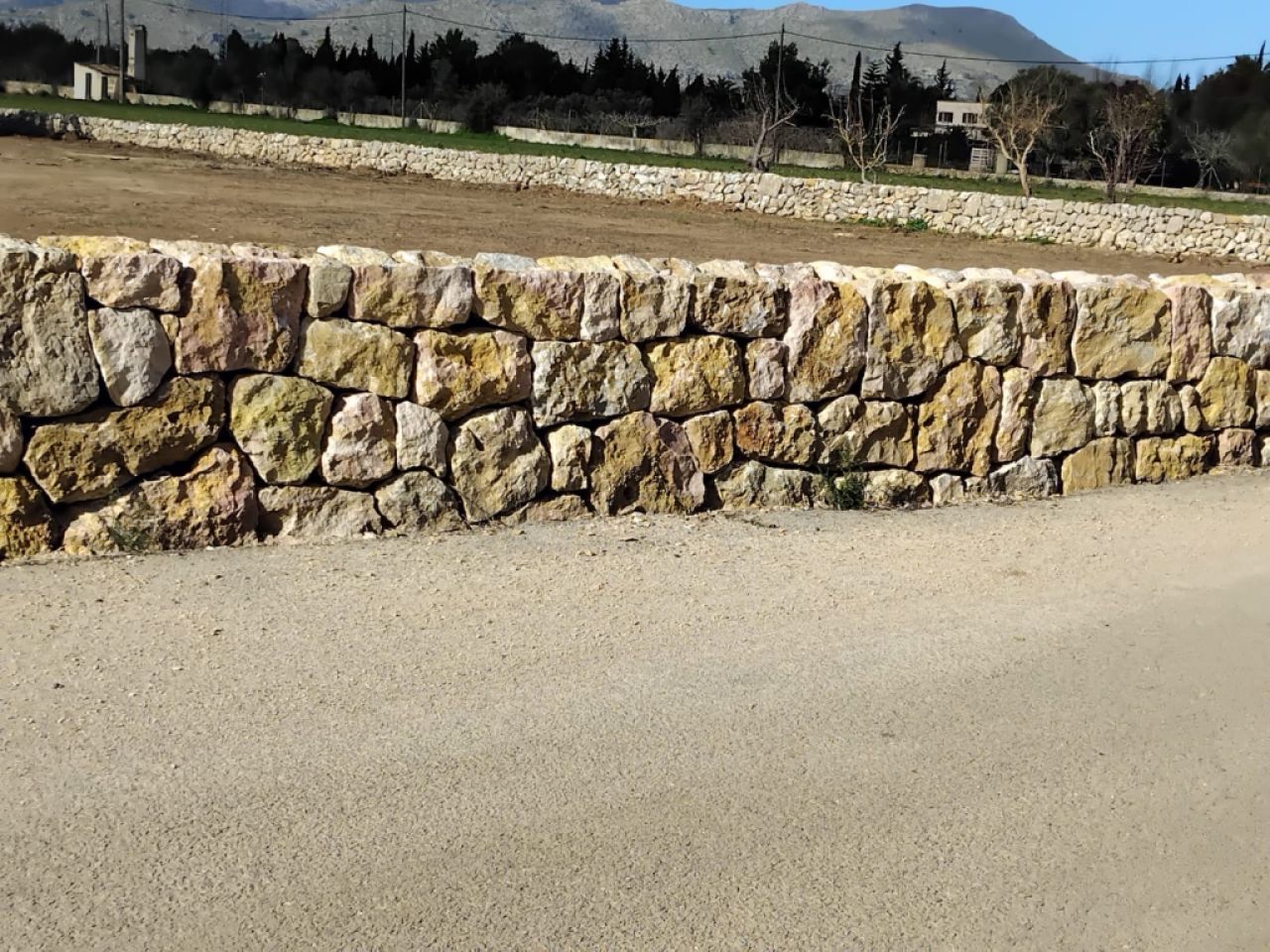 constitutional reforms stone