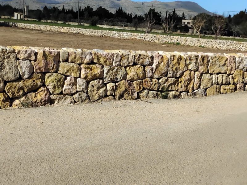 constitutional reforms stone