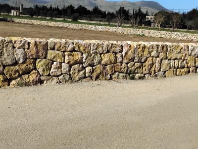 constitutional reforms stone